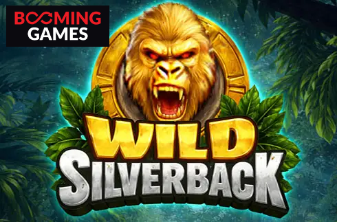 Wild Silverback